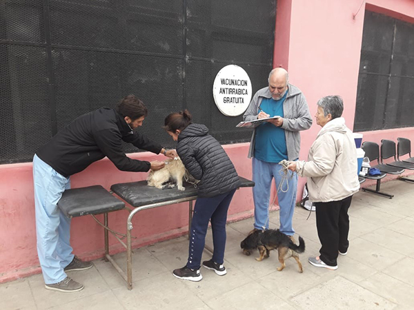 Vacunación antirrábica en el centro de Residentes Santiagueños